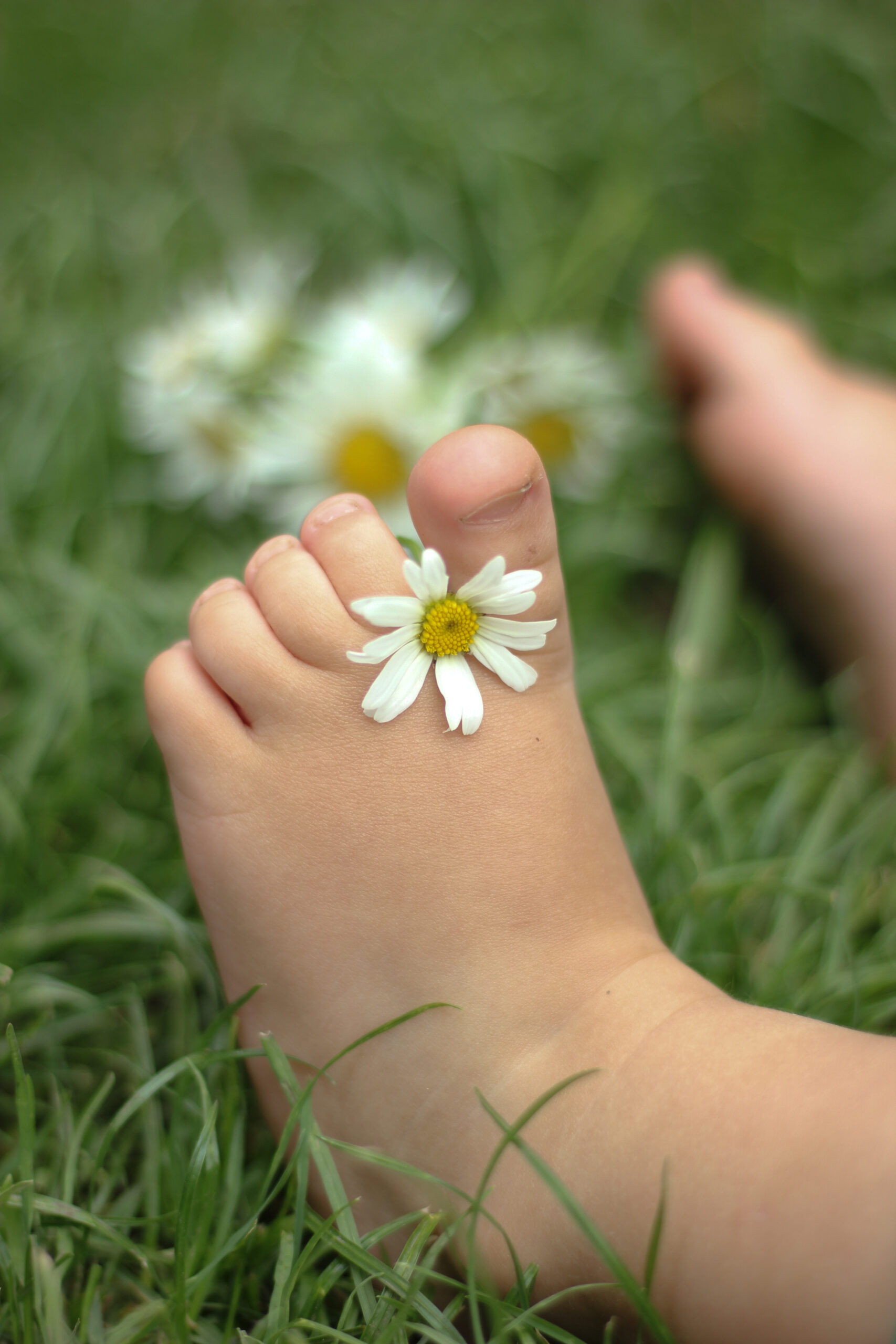 Children's feet with chamomile on green grass. Selective focus. nature.